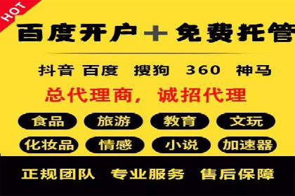 旅游行业SEM推广成功案例